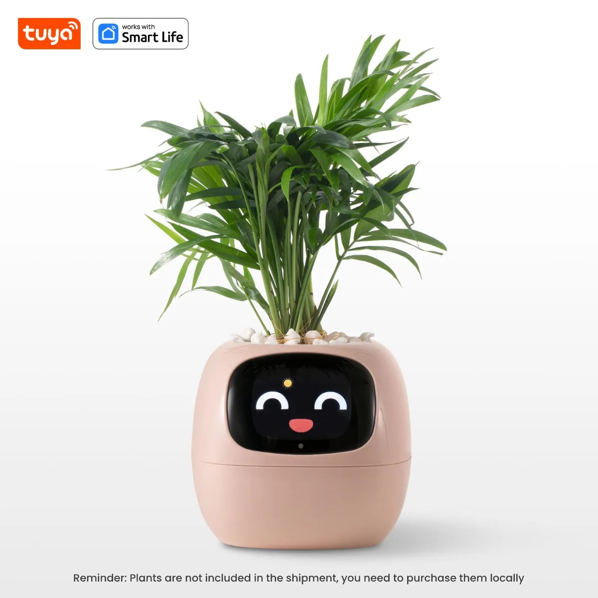 Tuya Ivy Smart Planter – The AI-Powered Plant Companion