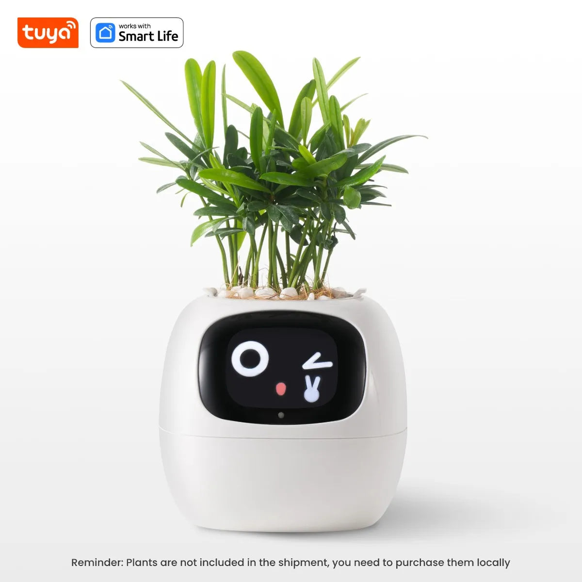 Tuya Ivy Smart Planter – The AI-Powered Plant Companion