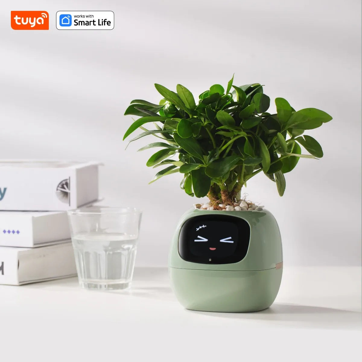 Tuya Ivy Smart Planter – The AI-Powered Plant Companion
