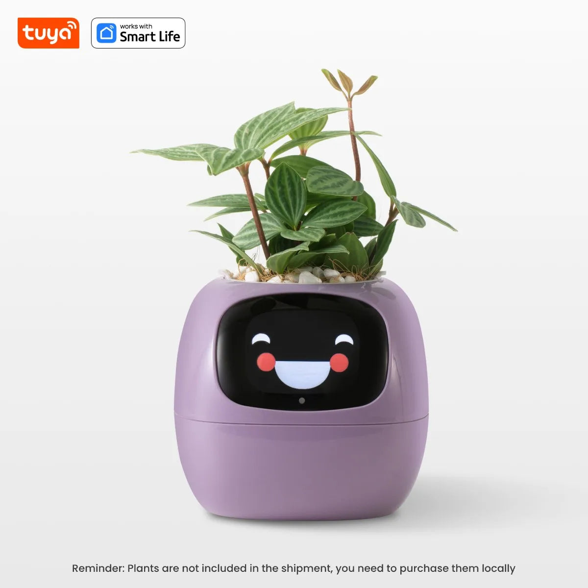 Tuya Ivy Smart Planter – The AI-Powered Plant Companion