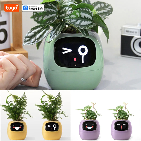 Tuya Ivy Smart Planter – The AI-Powered Plant Companion